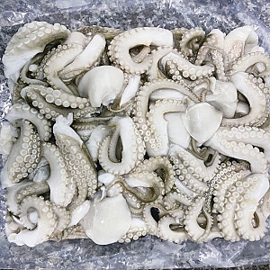 냉동절단쭈꾸미 도매, 식당·업소용은 수율과 품종부터 확인하세요