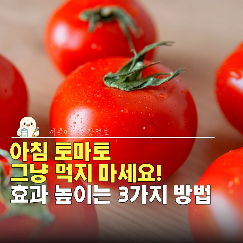 아침 토마토 효능 높여 먹는법 3가지, 삶는법 데치기 주스 먹는법