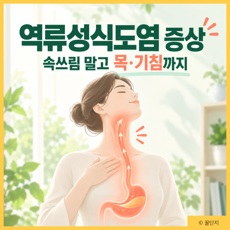 역류성식도염 증상, 속쓰림 기침 이물감이 있다면 체크! 원인 습관 치료 방법까지