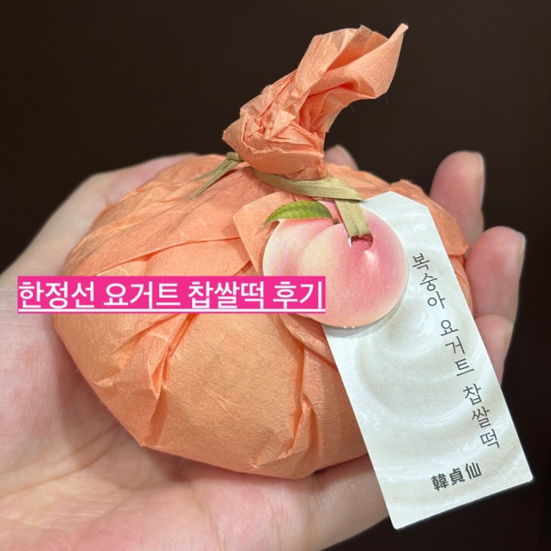 한정선  블루베리요거트 복숭아요거트  찹쌀떡 후기