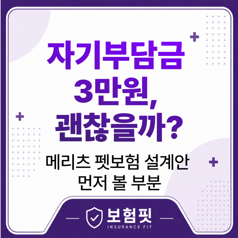 메리츠 펫퍼민트 펫보험 자기부담금 3만원 설계안에서 먼저 볼 부분