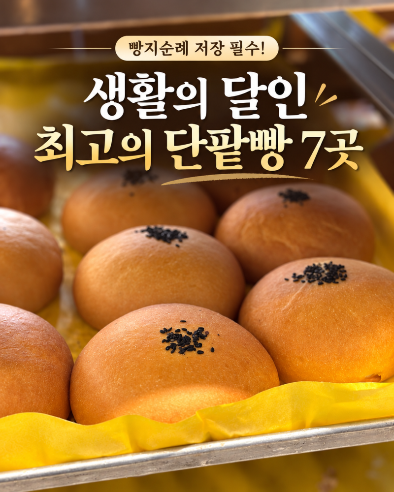 빵지순례 저장 필수! 생활의 달인 최고의 단팥빵 7곳, 1등 맛집까지 총정리