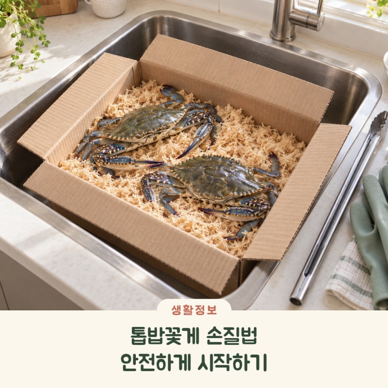 톱밥꽃게 손질법, 살아서 움직일 때 안전하게 손질하려면