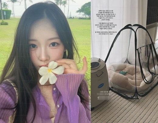 박성광 아내 이솔이, 반려견 심장병 수술 고민 중 산소방 홍보까지…"텅 빈 산소방"