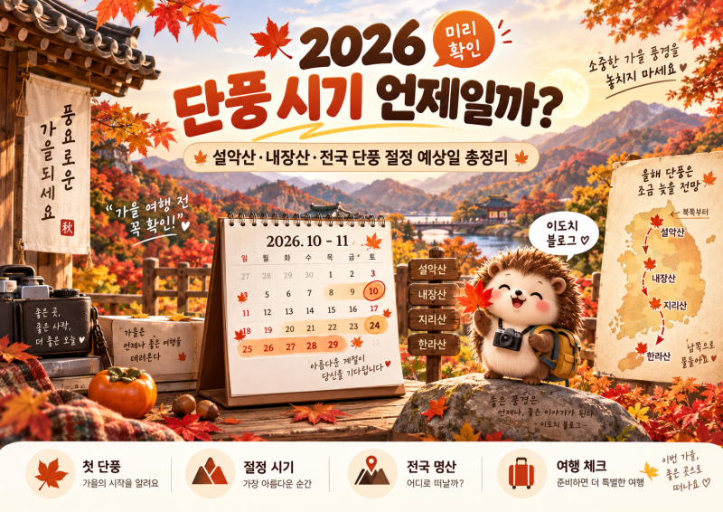 2026 단풍 시기 언제일까?｜설악산·내장산·전국 단풍 절정 예상일 총정리