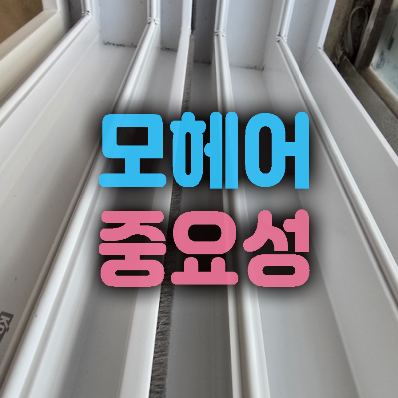 대구 샤시 시공 ] 모헤어 기능 그리고 교체 시기와 비용은?