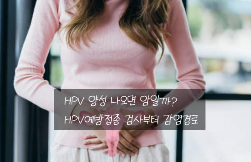 HPV 양성 나오면 암일까? HPV예방접종 검사부터 감염경로