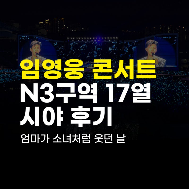 임영웅 콘서트 고양콘서트 막콘 후기, N3구역 17열 시야와 엄마 동행 기록