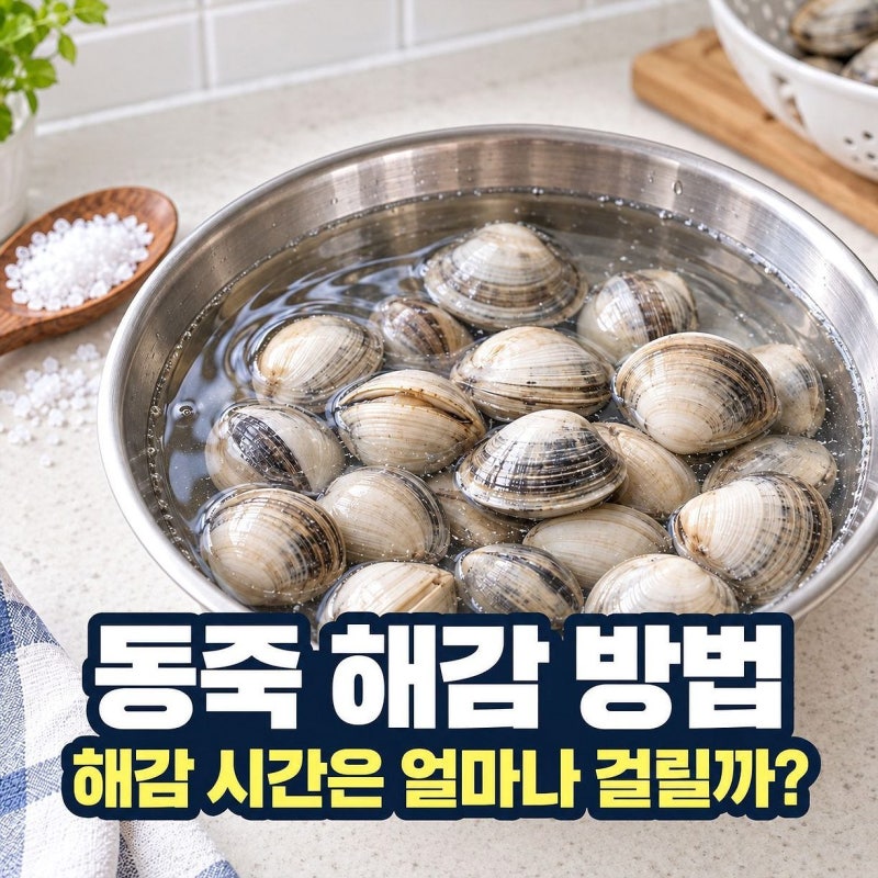 동죽 해감 방법, 해감 시간은 얼마나 걸릴까?