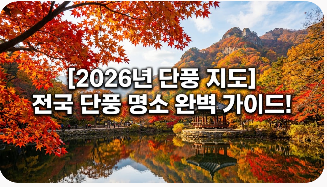 [국내여행] [2026년 단풍 지도] 전국 단풍 시기부터 대표 명소 주차·가는 법까지 완벽 가이드!