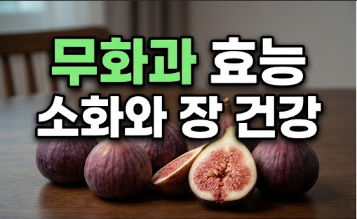 무화과 효능과 부작용, 올바른 하루 섭취량과 세척법 총정리