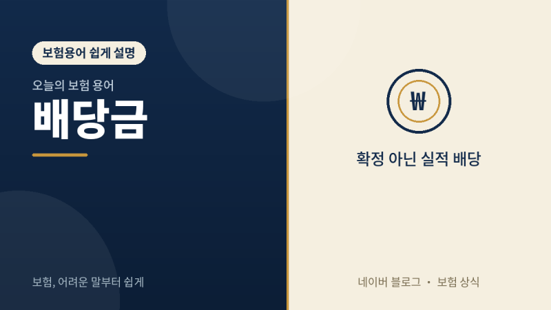 "배당금"이 뭔가요? (보험도 배당을 준다고요?)