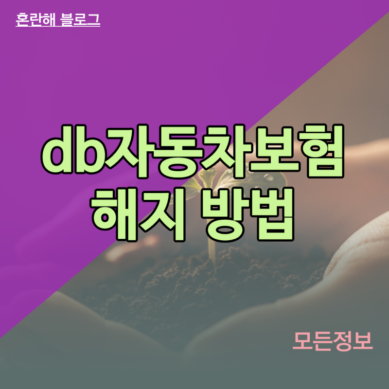 타사 이전 시 db자동차보험 해지 방법과 미가입 과태료 방지 수칙