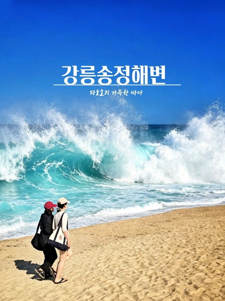 강릉 송정해변 해수욕장 여행 | 9월 파도소리와 솔숲길이 좋은 강릉바다추천