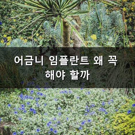 어금니 임플란트 비용 통증 기간 얼마나 걸릴까