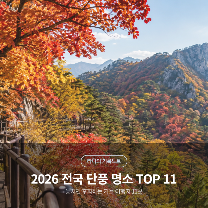 2026 전국 단풍 절정 시기 지도 명소 총정리 놓치면 후회하는 가을 여행지 11곳