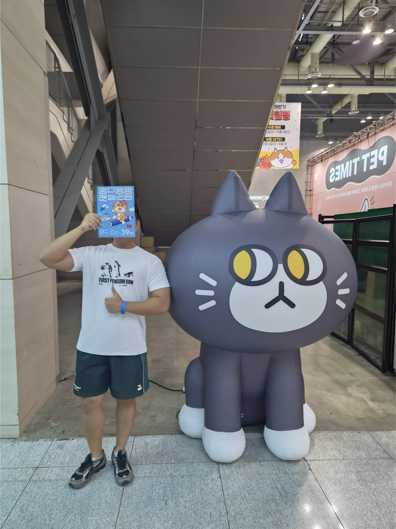 궁디팡팡 2026 캣페스타 일산 마지막날 방문후기, 고양이 장난감부터 캣타워까지 고양이 용품....