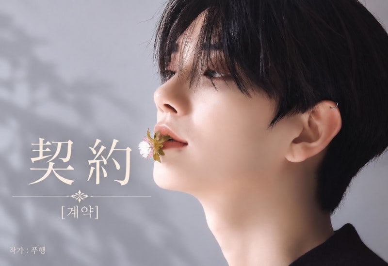 [SEVENTEEN Fanfiction/Wonwoo] Contract, Chapter 17