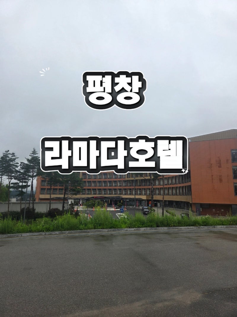 평창 숙소 라마다 호텔 스위트 스탠다드 더블 후기 복층 객실·주차·애견동반·설맥 부대시....