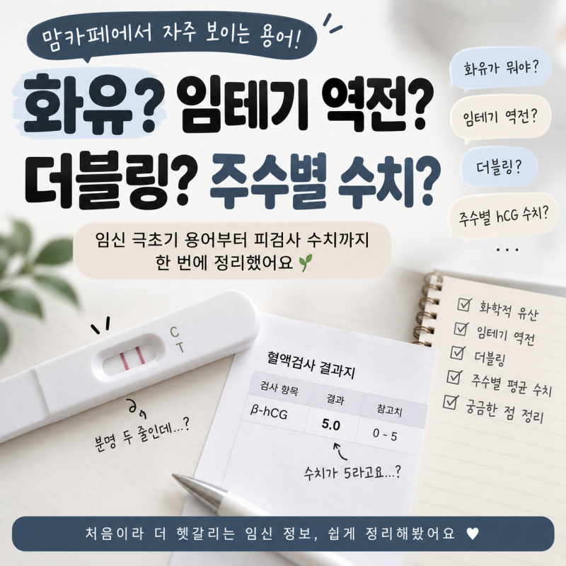 화유? 임테기 역전? 더블링? 임신 극초기 용어 내가 알아본 만큼 정리
