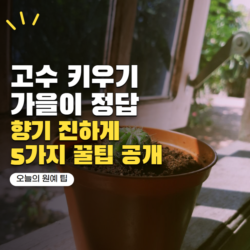 고수 키우기 가을에 시작하면 더 쉬워요! 향 진하게 키우는 방법 5가지