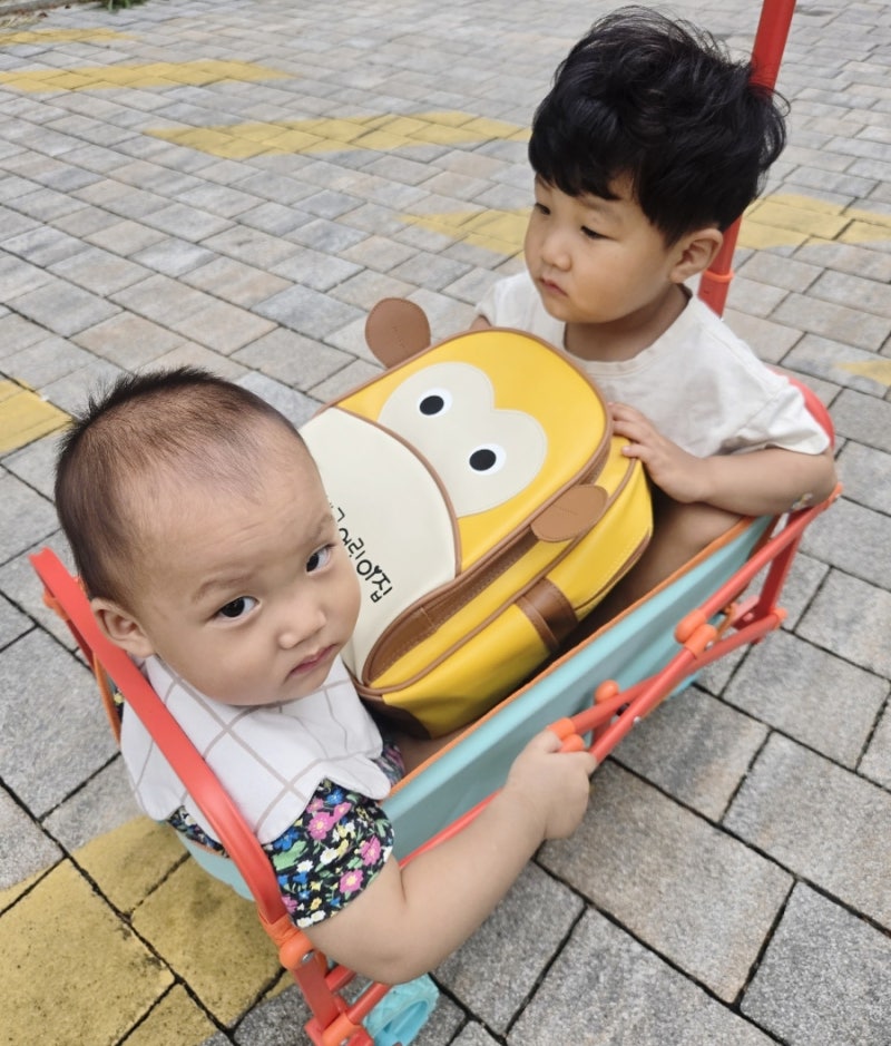 [데코아르 미니 웨건]육아친구들 단체로 다 따라산 찐육아템