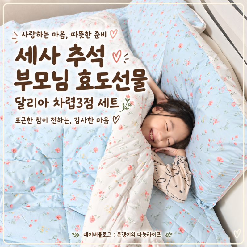 세사 추석 부모님 효도선물｜구로 직영점 추석선물로 달리아 차렵3점 세트를 고른 이유