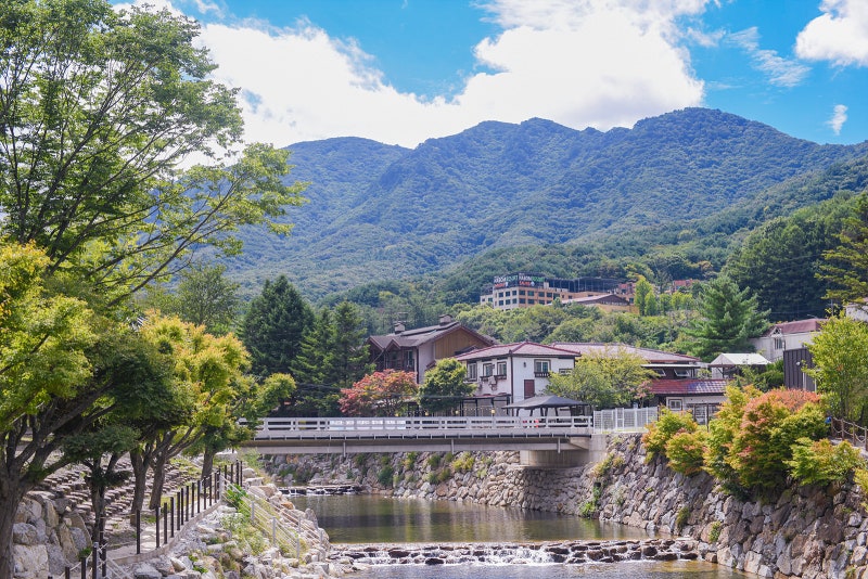 무주 가볼만한곳 베스트 6 <무주반딧불축제/덕유산자연휴양림/덕유산국립공원/무주구천동관....