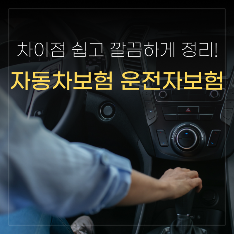 따로 들어야 할까? 자동차 보험 운전자 보험 차이 정리!