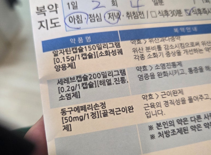 허리디스크로 병원 갔는데 도수치료가 달라졌다 실손보험 총정리