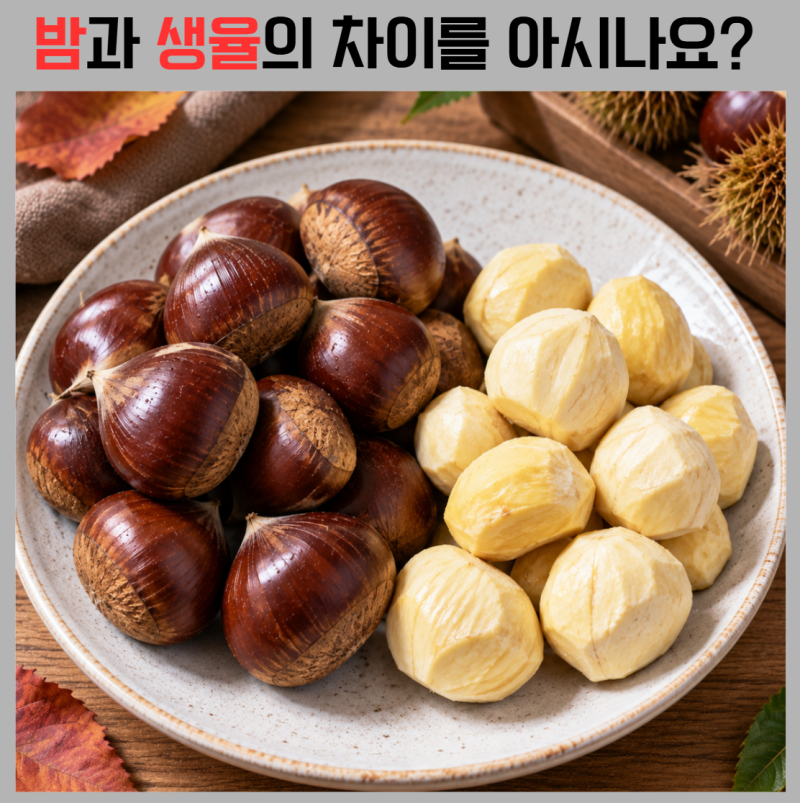 밤 vs 생율 차이, 생율은 깐밤을 말하는 걸까?