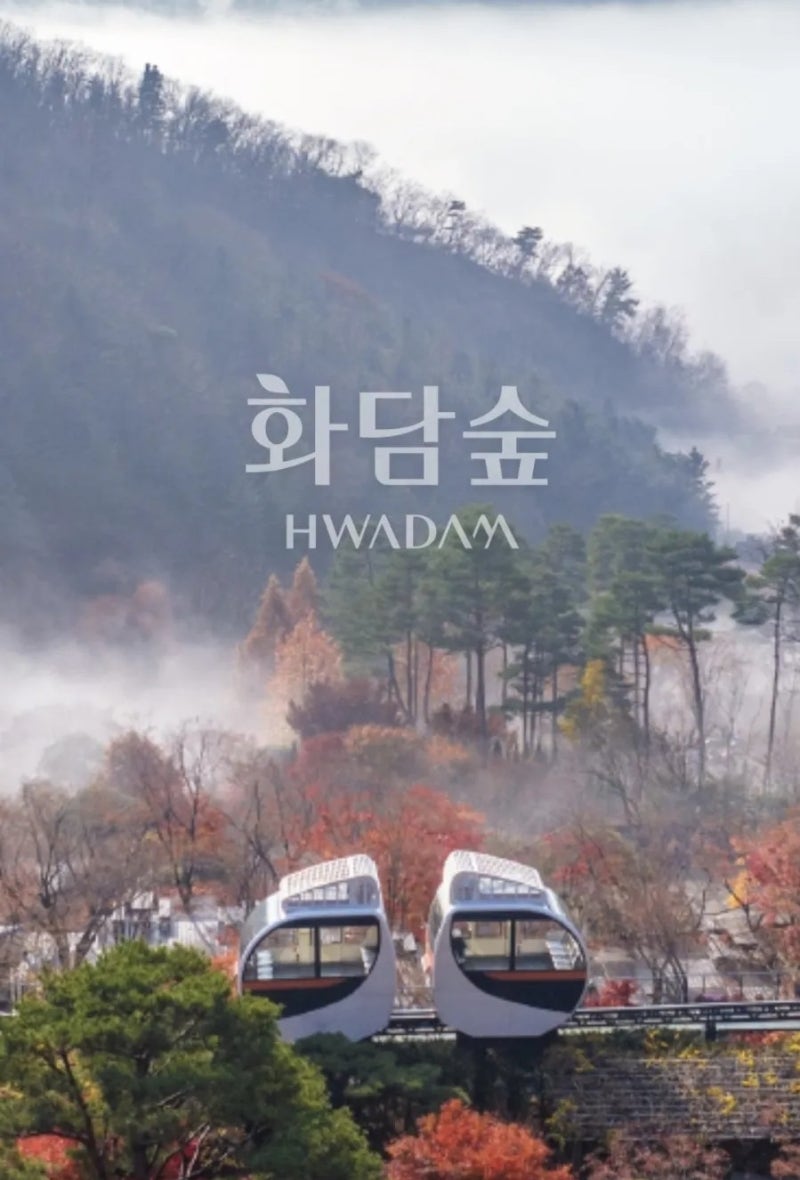 2026 화담숲 예약 방법｜입장료·모노레일 가격·주차·가는 방법 총정리