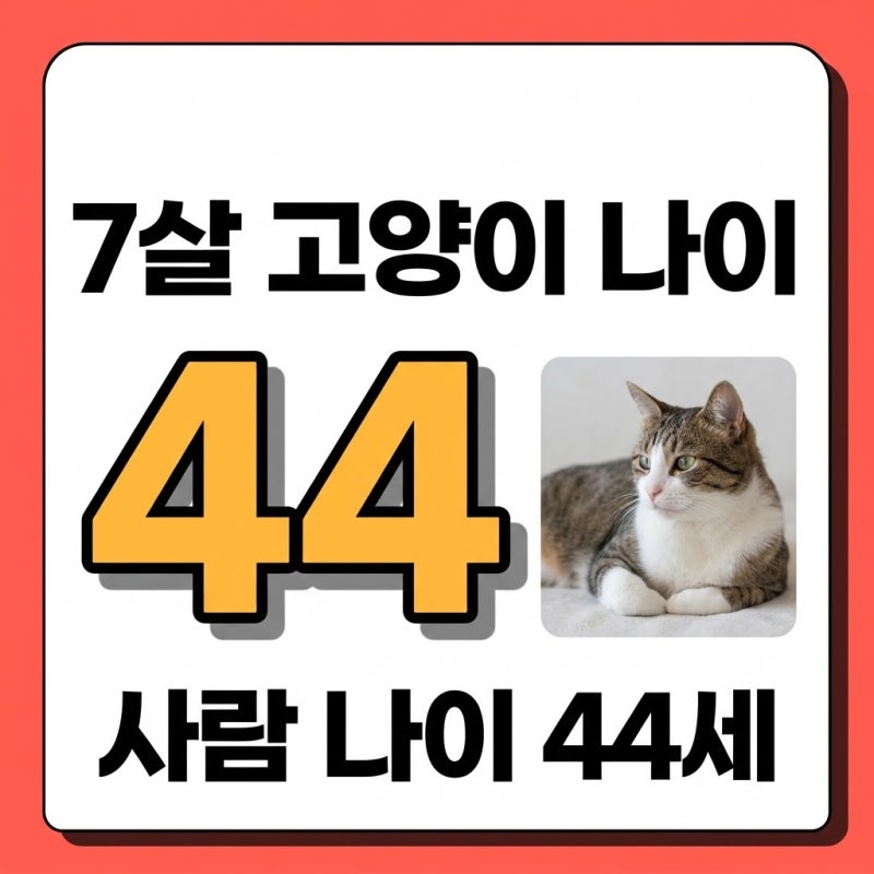 7살 고양이 나이의 충격 반전, 사람 나이로 환산하면 몇 살?