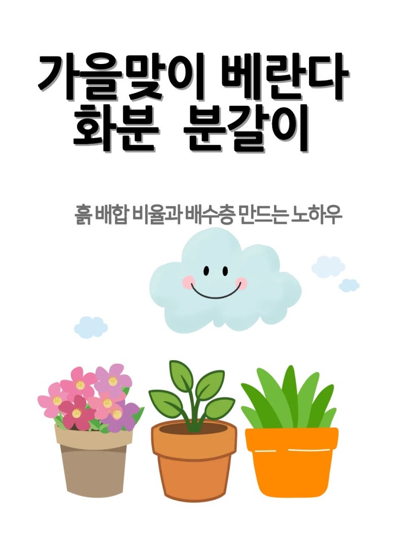 가을맞이 베란다 화분 분갈이 흙 배합 비율과 배수층 만드는 노하우