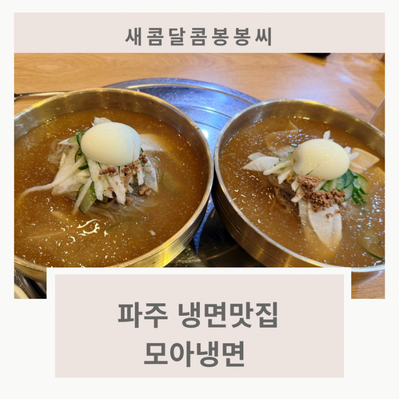 생활의 달인 촬영 맛집, 문산 모아냉면 솔직후기!