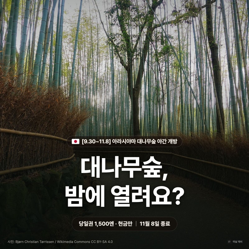 아라시야마 대나무숲 400m 가는법 덴류지 요금 시간 총정리