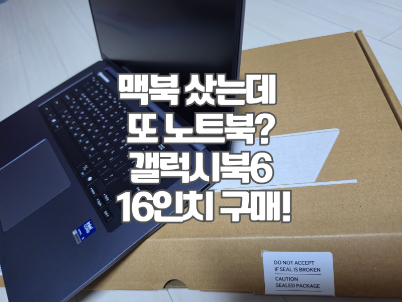 삼성 갤럭시북6 16인치 NT760VJG 구매후기｜16GB·256GB 선택한 이유 + 갤럭시북6 Pro 비교