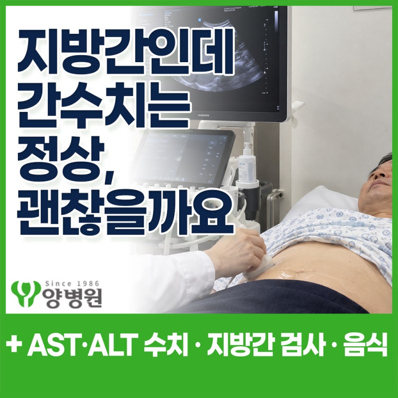 지방간인데 간수치는 정상, 괜찮을까요? AST·ALT 수치와 지방간 검사·음식 및 관리 방법 | 강....