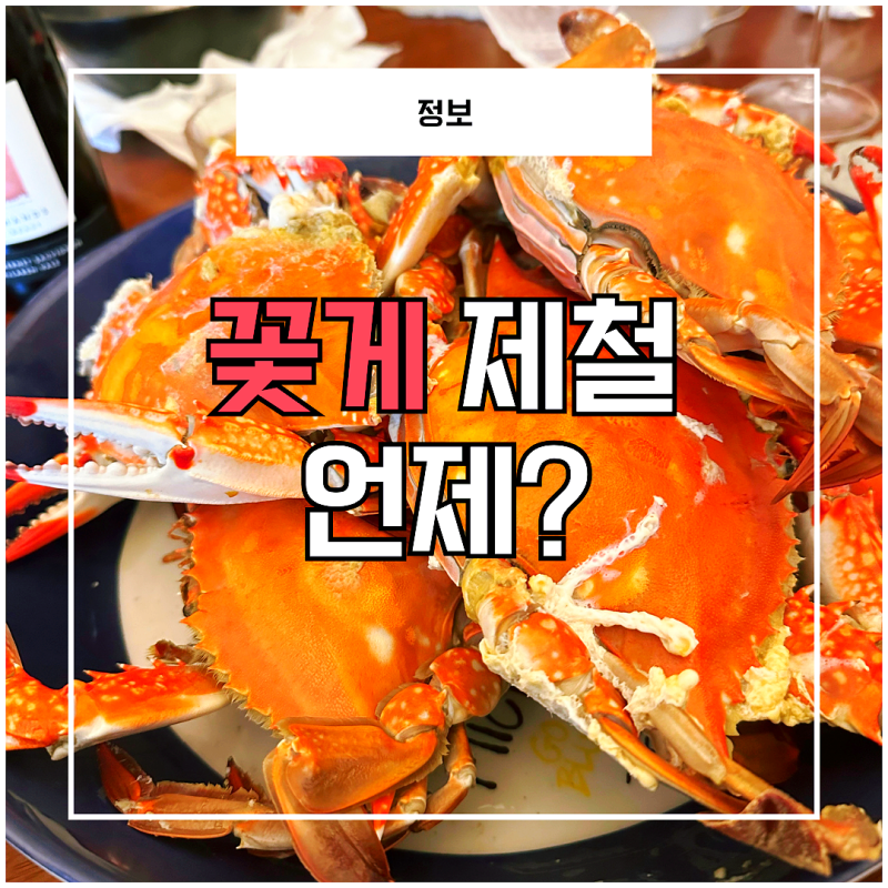 꽃게 제철 언제? 봄 암꽃게·가을 수꽃게 맛있는 시기 총정리