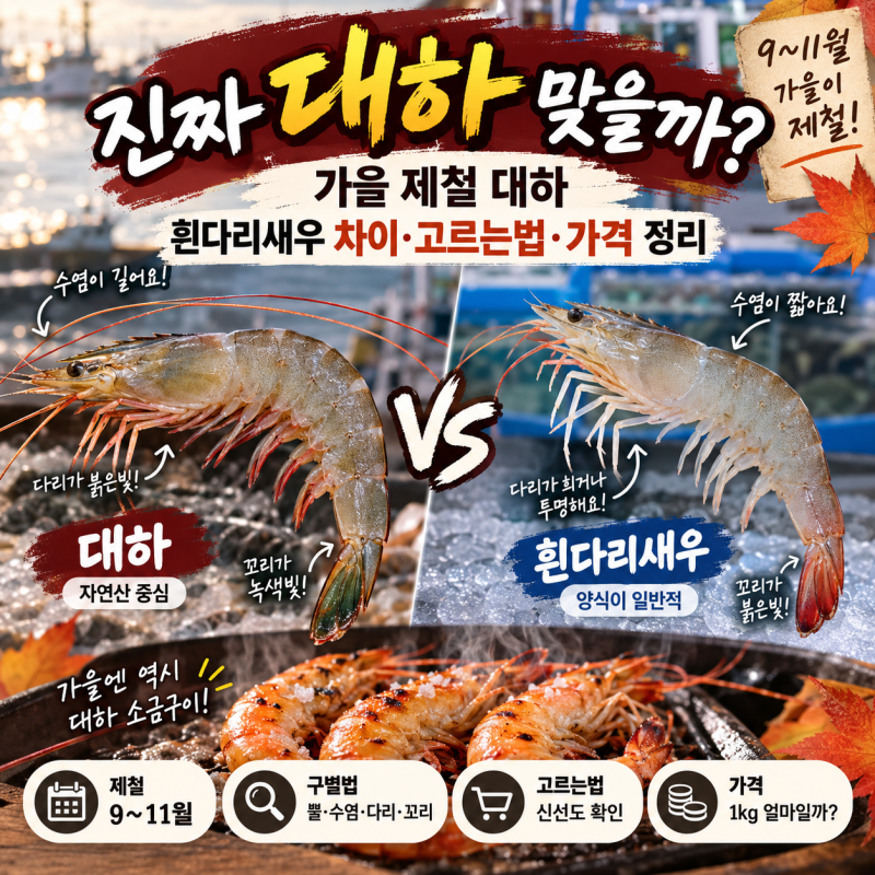 진짜 대하 맞을까? 가을 제철 대하 흰다리새우 차이·고르는법·가격 정리