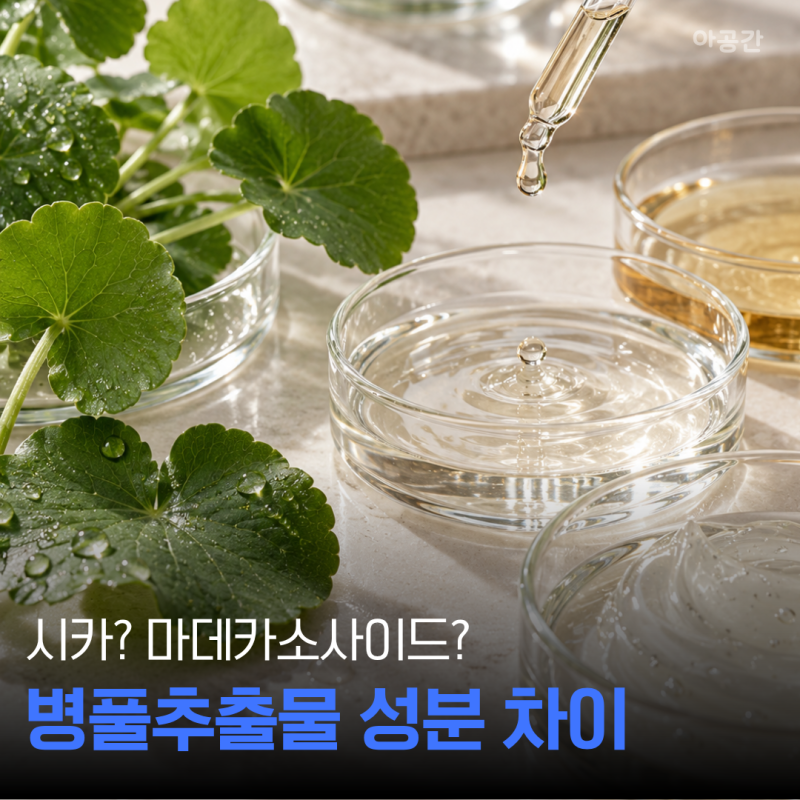 병풀추출물, 시카랑 같은 성분일까? 마데카소사이드까지 헷갈렸다면