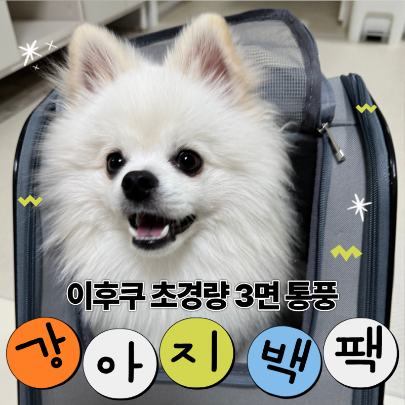 강아지이동가방 추천 바닥 처짐 없는 강아지백팩 솔직후기