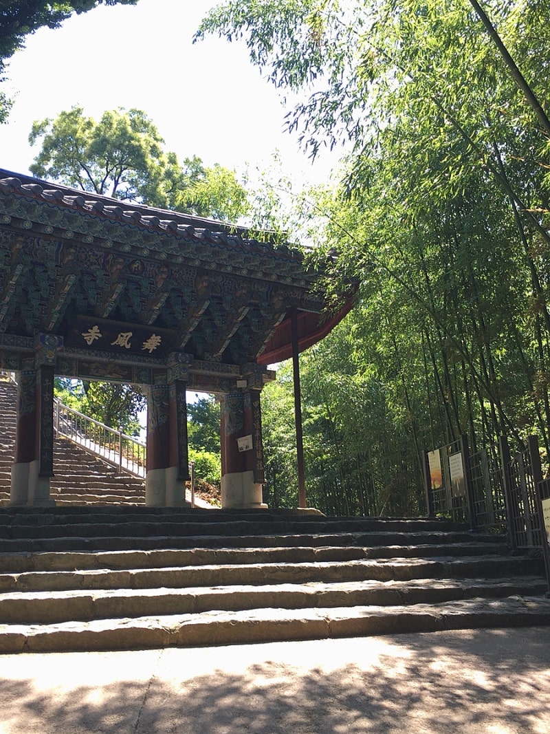 밀양 가볼만한곳, 맛집 추천 : 밀양 반값 여행 환급받고 다시 떠난 후기