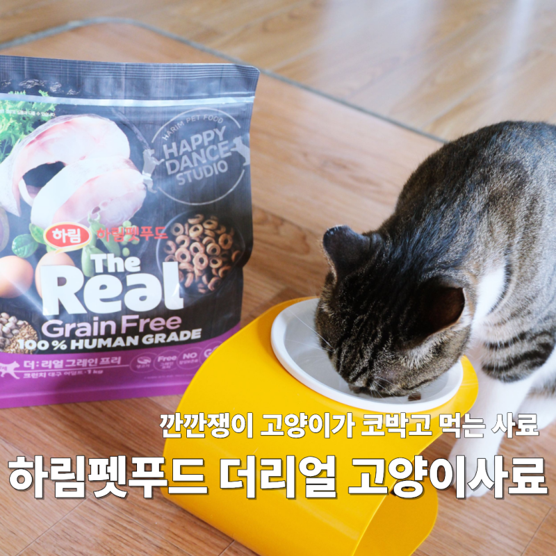 고양이사료추천 생육으로 만들어 건강한 하림펫푸드 더리얼 고양이사료
