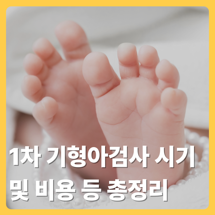 1차 기형아검사 시기 및 비용, 항목, 결과: 니프티·목투명대·코뼈·성별