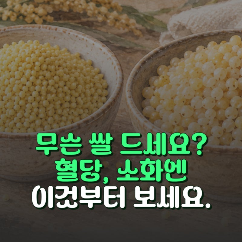 좁쌀 기장쌀 효능 비교 혈당 관리와 소화에 좋은 곡물