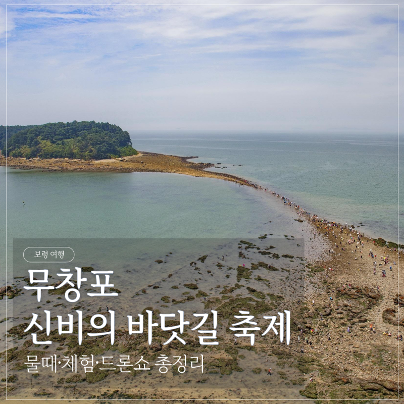 2026 무창포 신비의 바닷길축제 일정 총정리｜물때·대하잡기·드론쇼