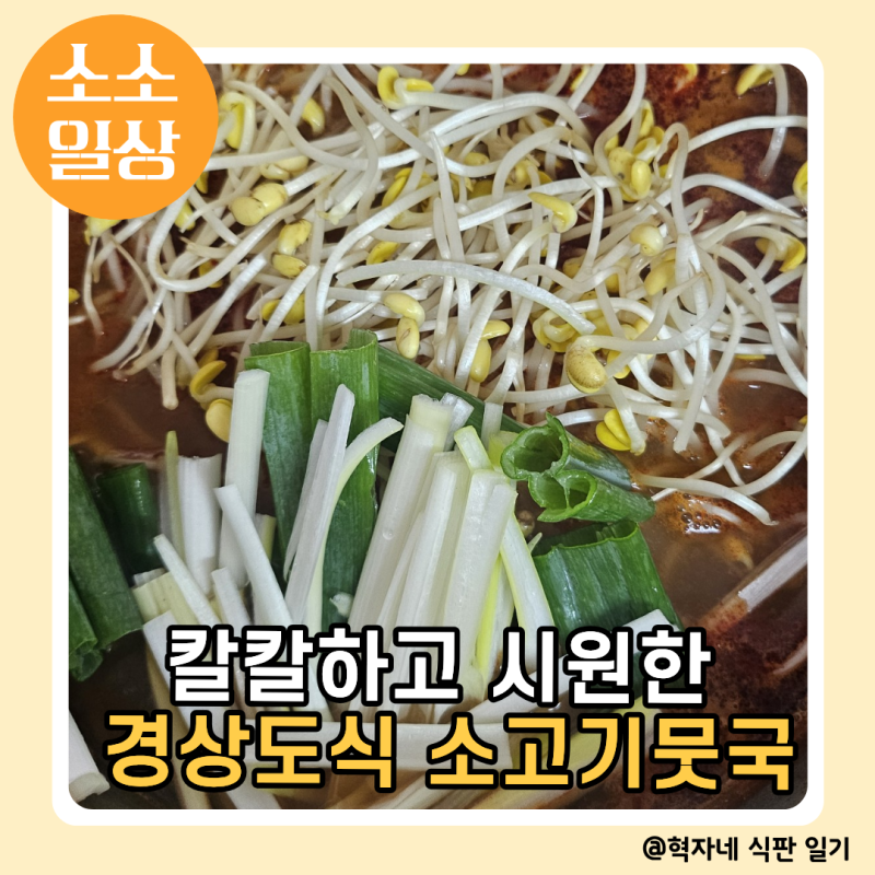 경상도식 소고기뭇국 맛있게 끓이는 법 얼큰 칼칼한 황금레시피
