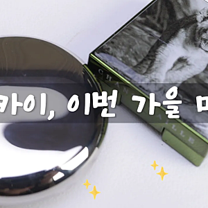 샹테카이 가을 컬렉션 후기 | 나리카 아이섀도우·로즈 블러셔 발색