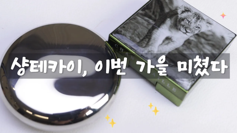 샹테카이 가을 컬렉션 후기 | 나리카 아이섀도우·로즈 블러셔 발색